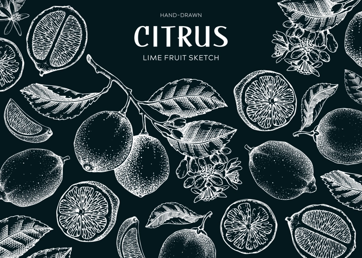 Lime fruit frame. Exotic plants design template. Citrus fruit sketches on chalkboard. Summer background. Hand drawn vector illustration. NOT AI generated